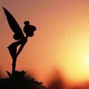 えびあんの画像