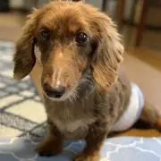 長井の画像