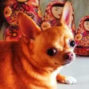 tomooの画像