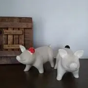 grisの画像