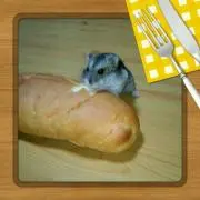 アボカド♪の画像