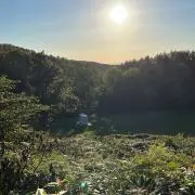 vintattoの画像