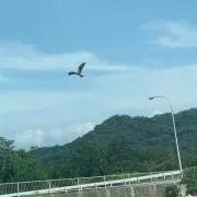 あいうの画像