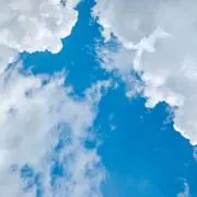 こっこの画像