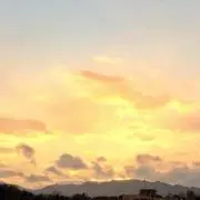 鈴子.*✿の画像