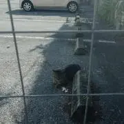 みその画像