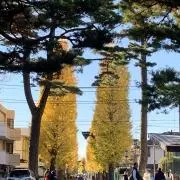 アウスレーゼの画像