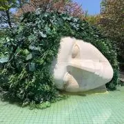 どらの画像