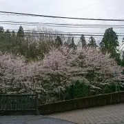 ♥T♥️の画像