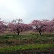 そらジロー