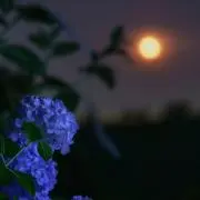 り