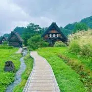 マキの画像