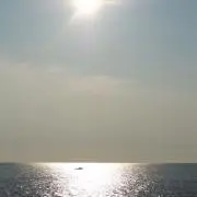 …