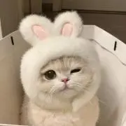 ねこうさぎ