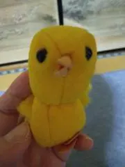 みなみんの画像