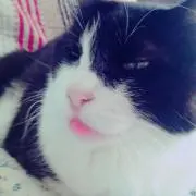 ♡お値引きします♪けんけんママ♡の画像