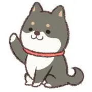 ぽん