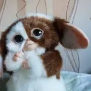 ギズモ(・ω・)即購入OK♡の画像