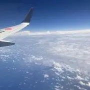 usagiの画像