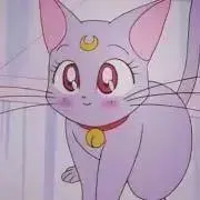 リ ノ【プロフ必読】の画像