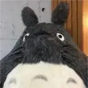 どんぐりの森村長の画像