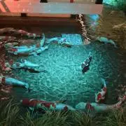Y@お値下交渉可土日祝発送除外日通知不良の画像