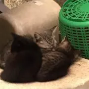 ひろ