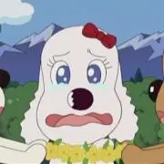 レアチーズの画像