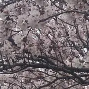まゆ◇ フォロー割実施中♪プロフ必読◇の画像
