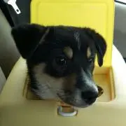 あいママ断捨離中の画像