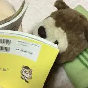 クマくんの画像