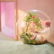 시