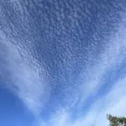 golfニック