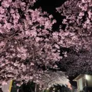 サカイ