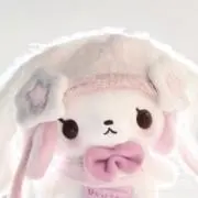 いかの画像