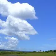 たーとも⭐︎迅速丁寧に対応します！⭐︎の画像
