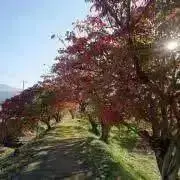 チョコkidsママ⭐︎の画像