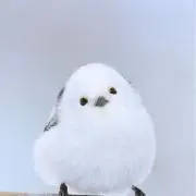 SLSの画像