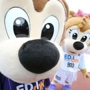 奇跡ミラクルの画像