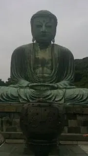 moaの画像