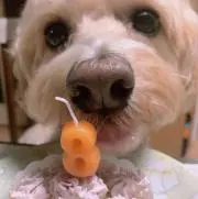 coco＊プロフ必読＊