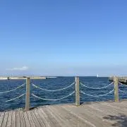 sh3の画像
