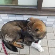 ラッキー