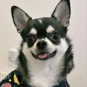 ウゴ之助【 ※プロフ必読 ※ 】の画像