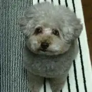 Yuの画像