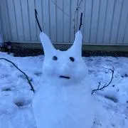 YOSKの画像