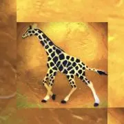 mkbigo
