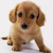 emi
