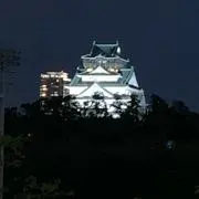 kevinsuzu