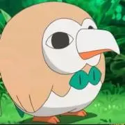 えすえぬの画像